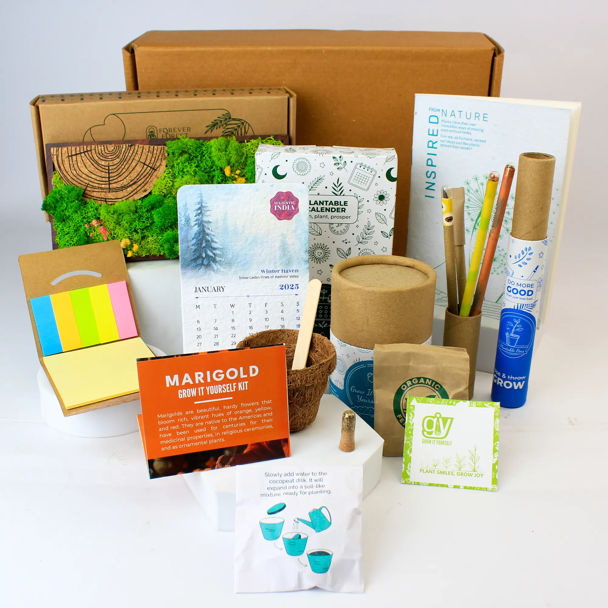 Forest Panorama Desk Gift Box - Image 4