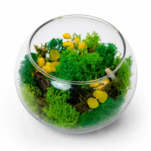 hero (60) Forest Sphere Mini