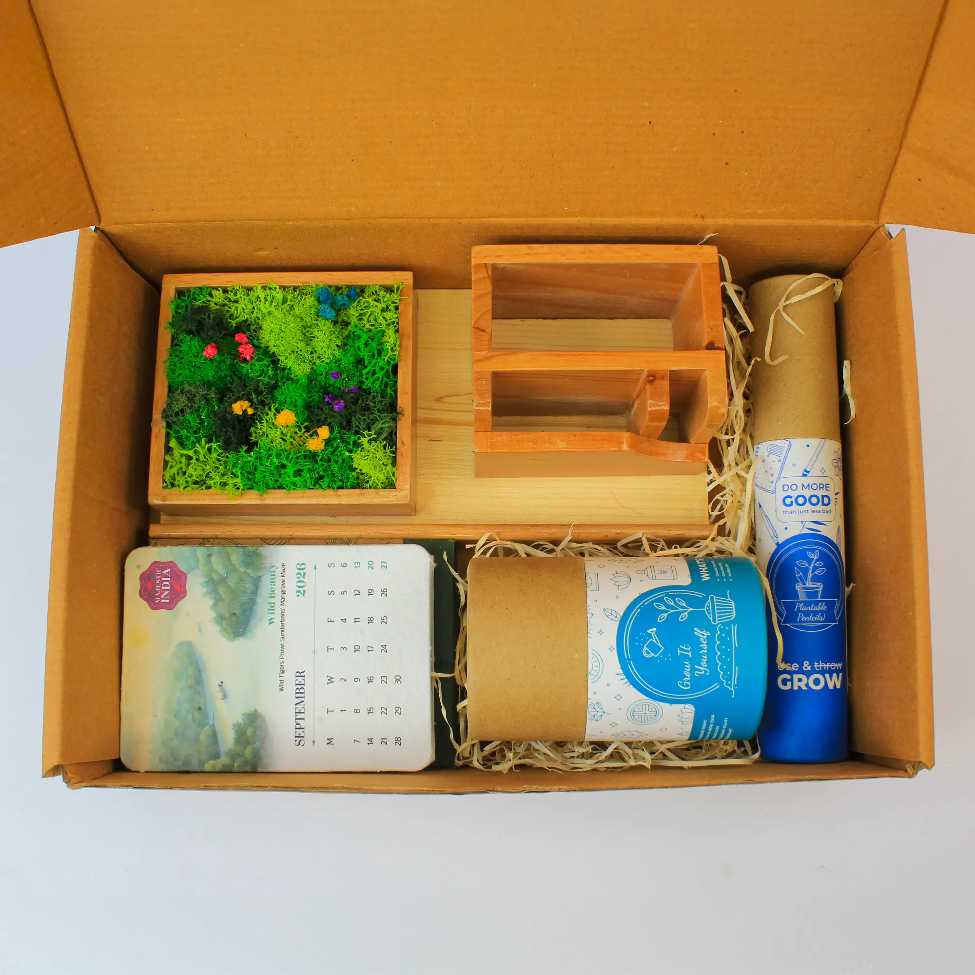 Forest Station Grow Desk Gift Box - Image 2