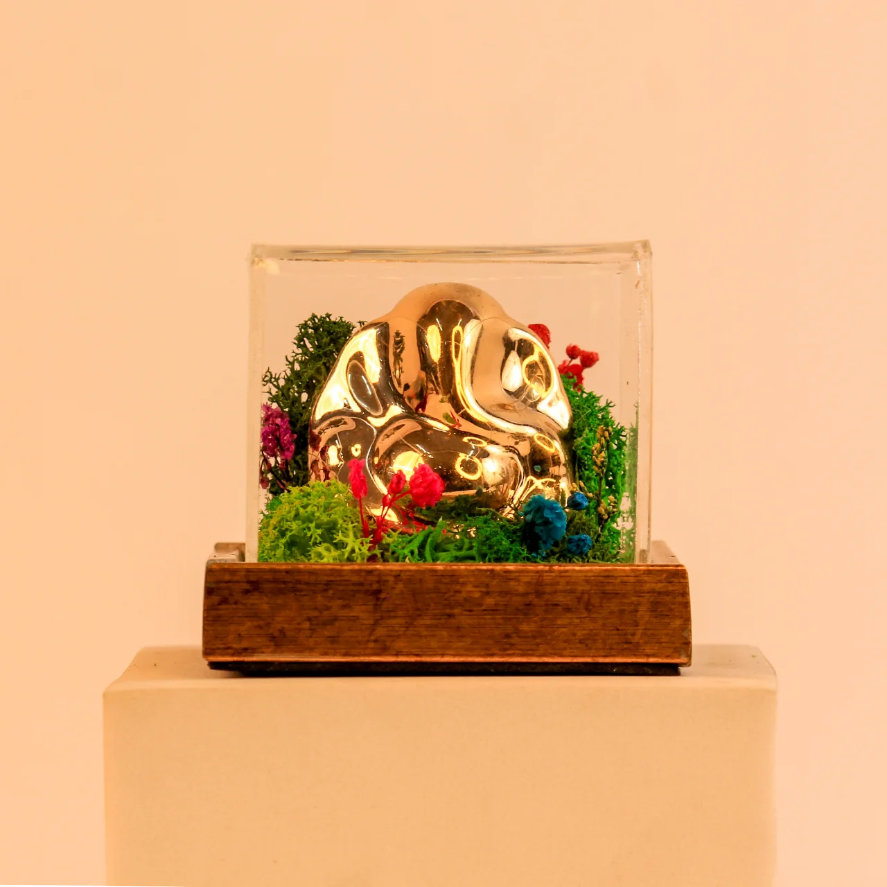 Forest Terrarium 3x3 With Buddha - Image 2