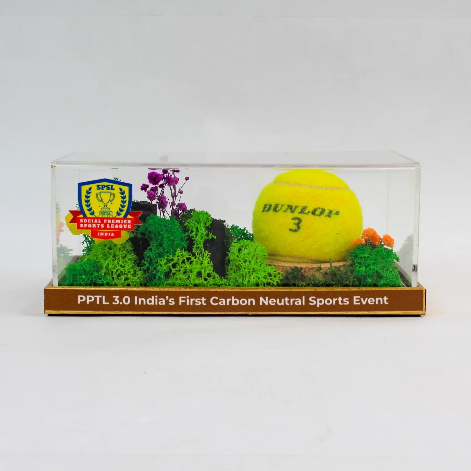 Forest Terrarium 8" X 4" (with Object/Ball) - Image 4