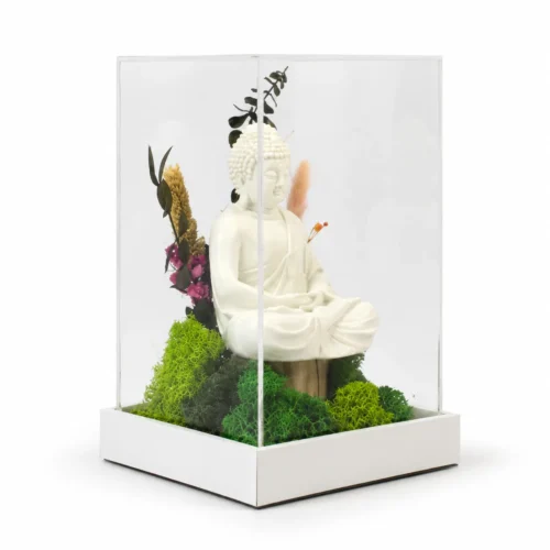 hero (67) Forest Terrarium 9x5 With Buddha
