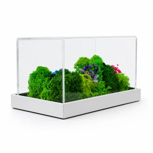 hero (68) Forest Terrarium Landscape | 6" x 3"
