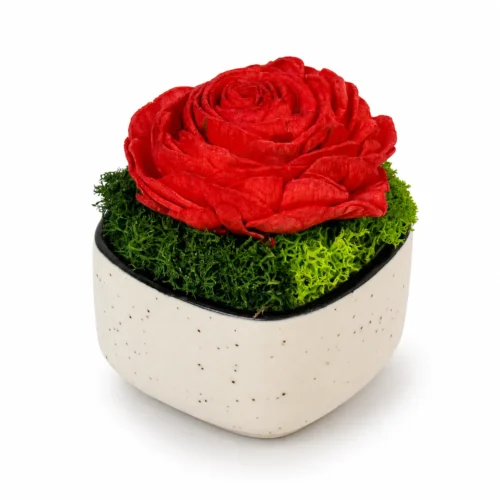 Ceramic Forest Rose Pod