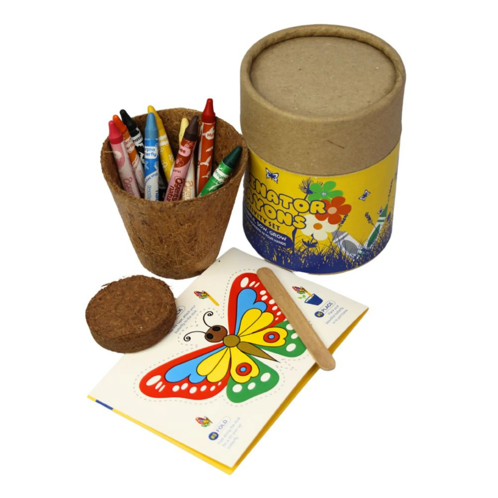3D Butterfly Grow Craft Kit - Image 2
