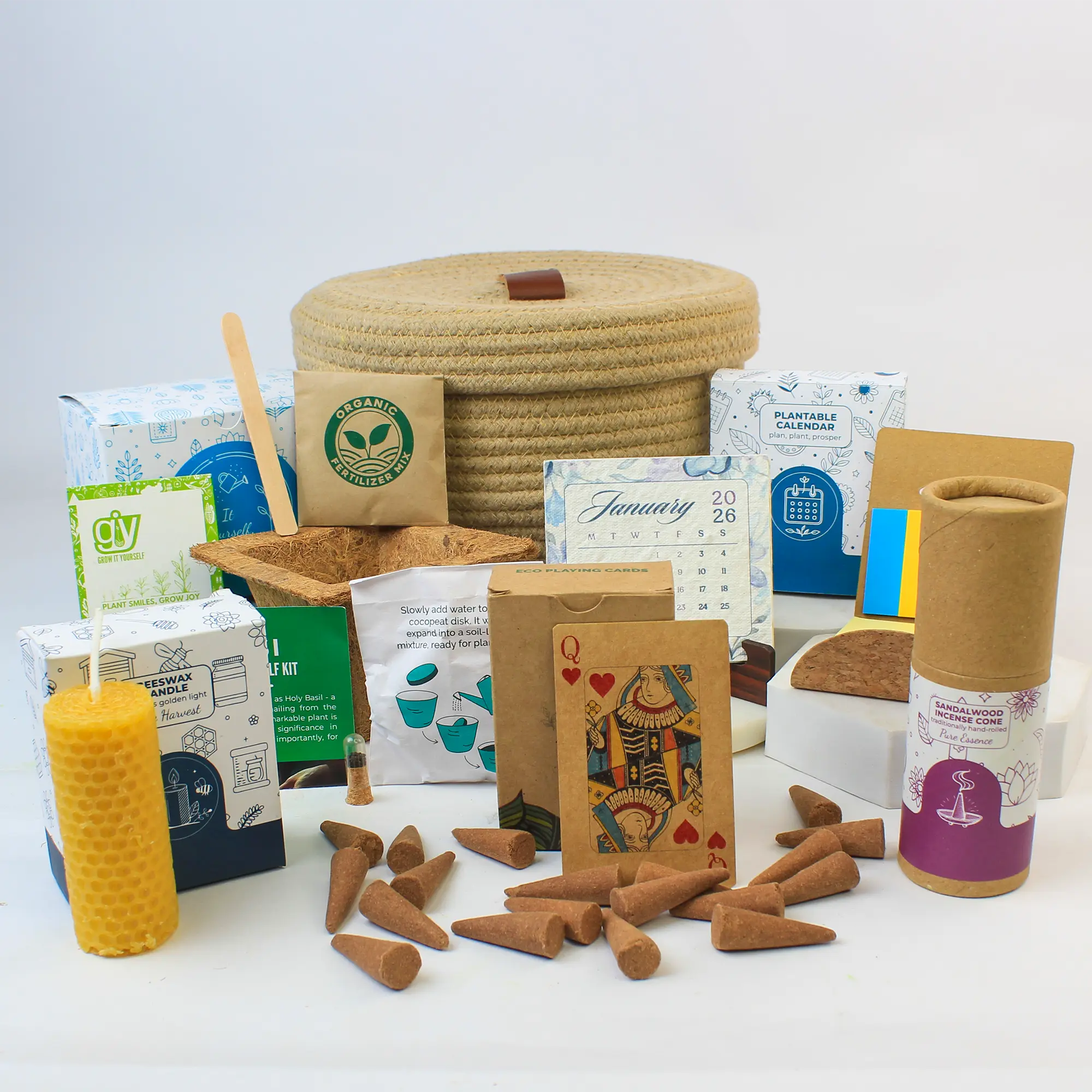 Festive Grow Basket Gift - Image 3