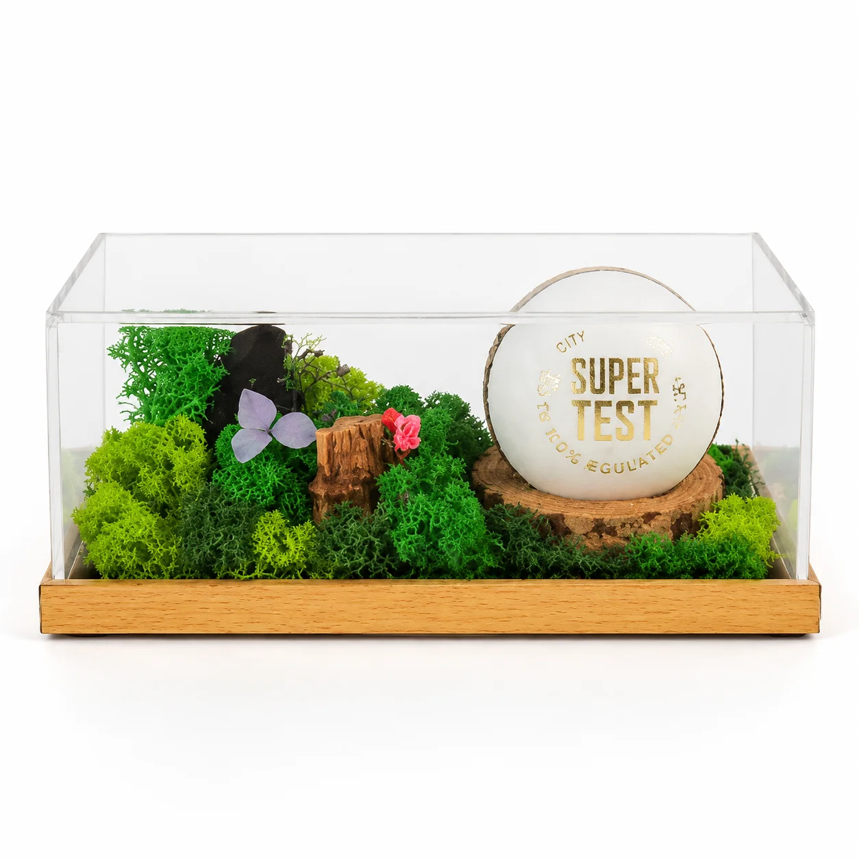 Forest Terrarium 8" X 4" (with Object/Ball) - Image 2