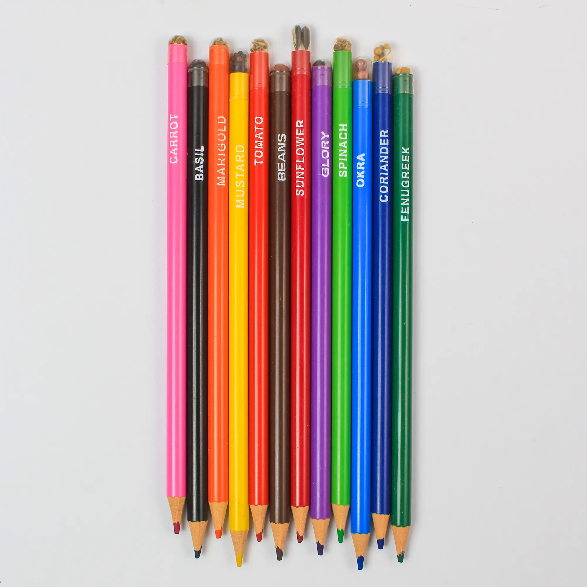 Plantable Colour Pencils (12ps) - Image 2