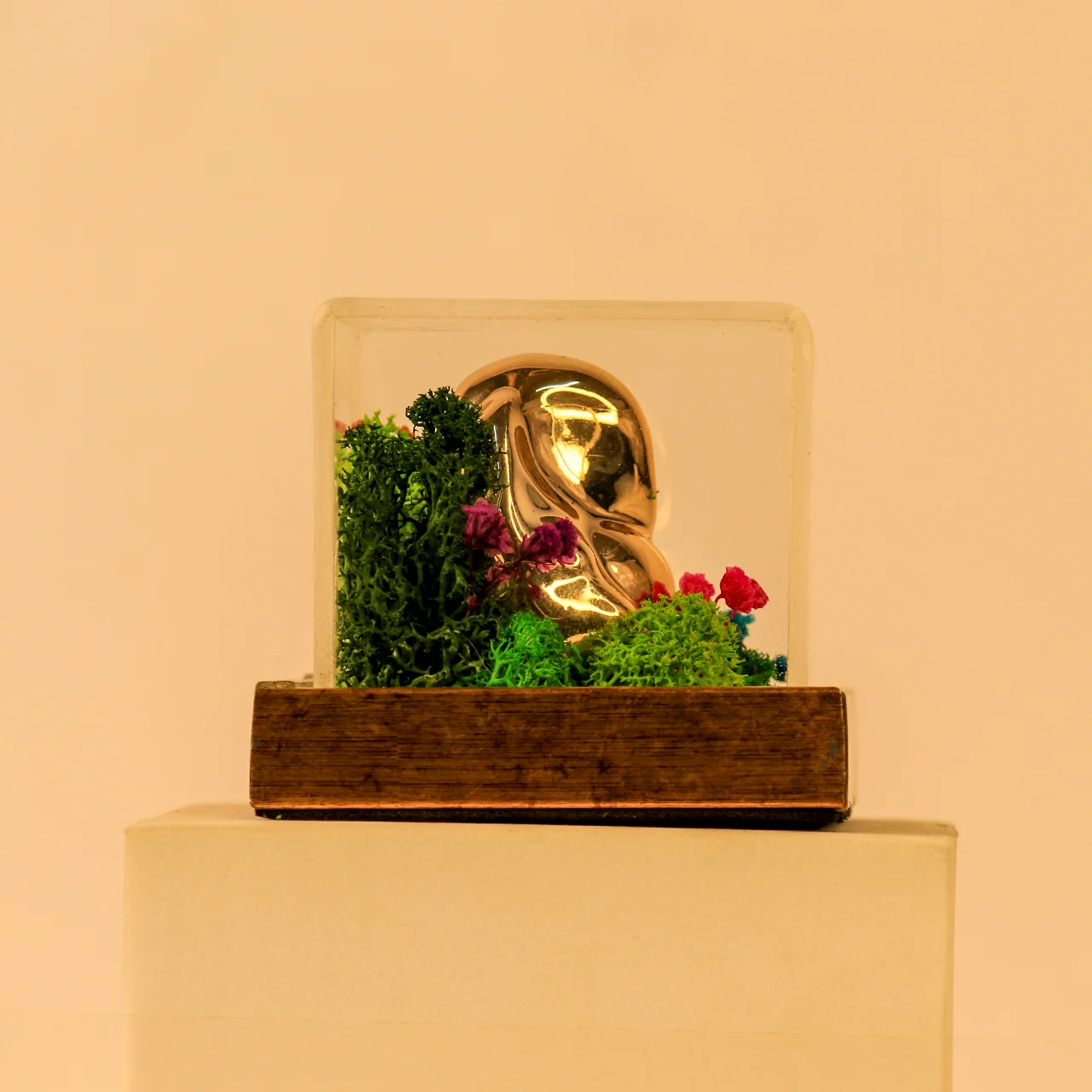 Forest Terrarium 3x3 With Buddha - Image 3
