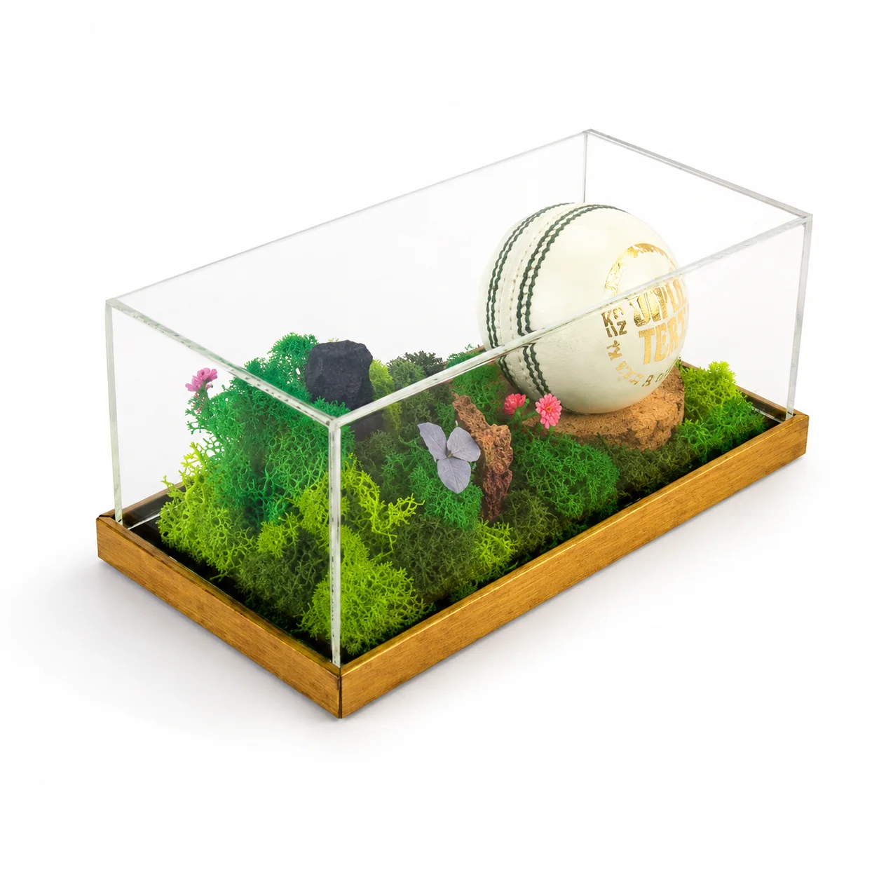 Forest Terrarium 8" X 4" (with Object/Ball) - Image 3