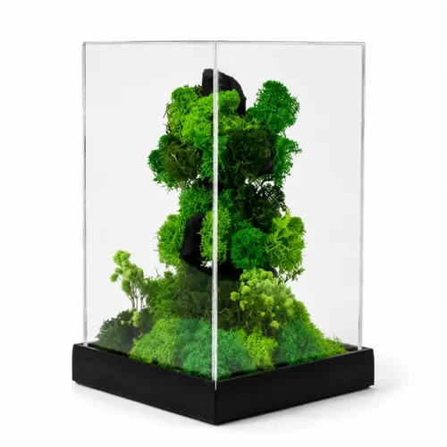 image-3 (57) Forest Terrarium Rise
