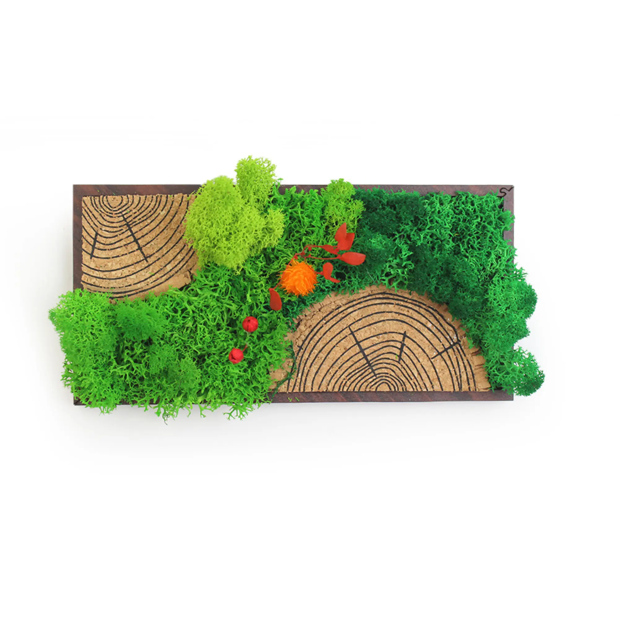 Forest Tile Panorama | 8" x 4" - Image 4