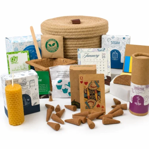 Festive Grow Basket Gift