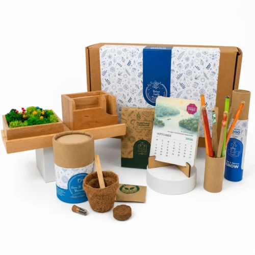 image-4 (34) Forest Station Grow Desk Gift Box