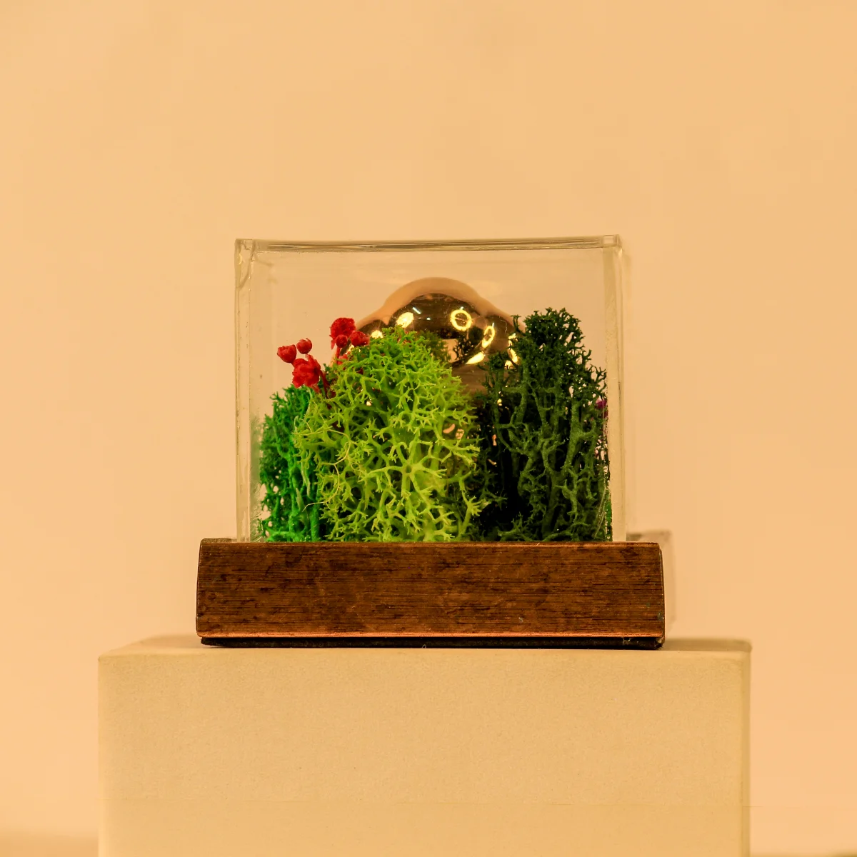Forest Terrarium 3x3 With Buddha - Image 4
