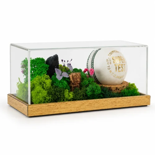 image-4 (37) Forest Terrarium 8" X 4" (with Object/Ball)