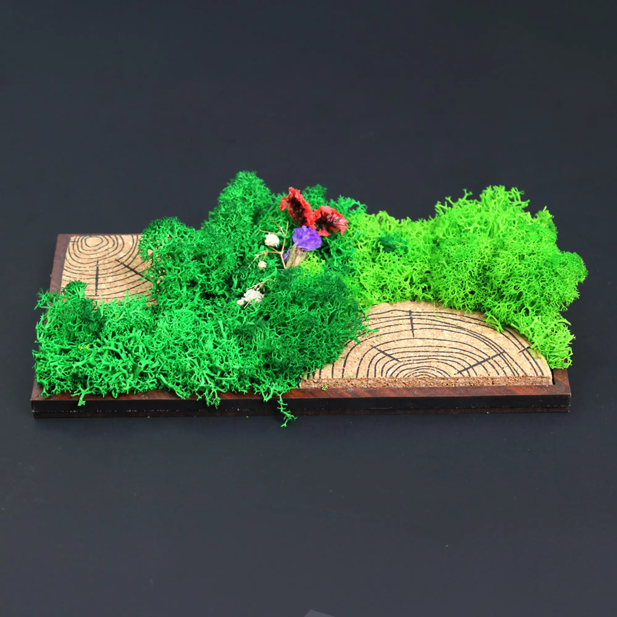 Forest Tile Panorama | 8" x 4" - Image 3