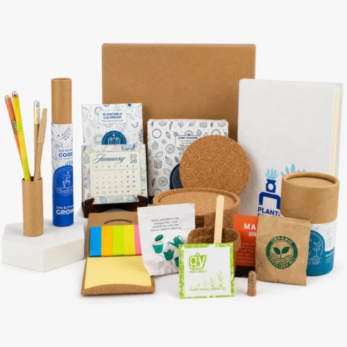 image-4 (7) Plantable Desk Gift Box